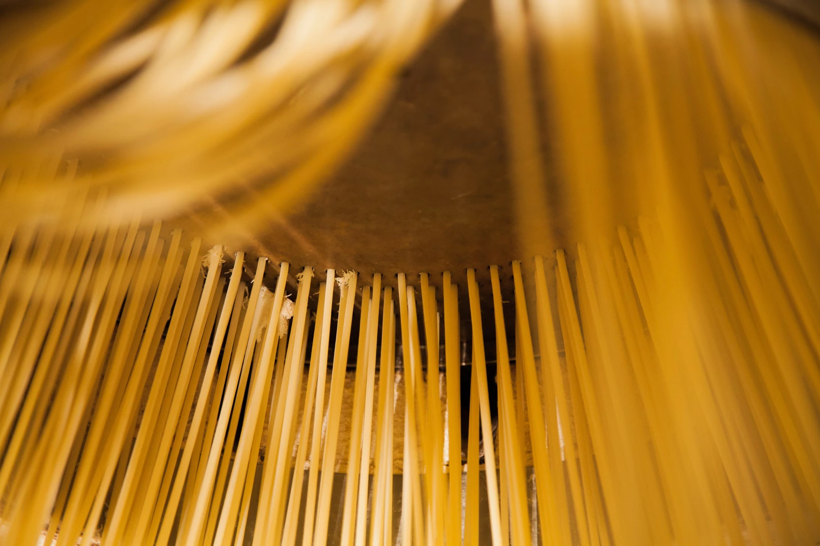 Produktion der Pasta im Pastificio Mancini