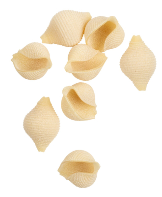 Tofe IGP Muschelnudeln aus Hartweizengrieß – ideal für Käsesaucen oder Minestrone, erhältlich bei Il Gusto di Mario.