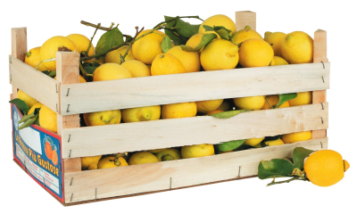 Fruchtige Frische aus Sizilien: Entdecken Sie unsere Zitronen und bereichern Sie Ihre Küche mit mediterranem Aroma und vielseitigem Geschmack. Perfekt für erfrischende Getränke und kreative Gerichte, bei il Gusto di Mario