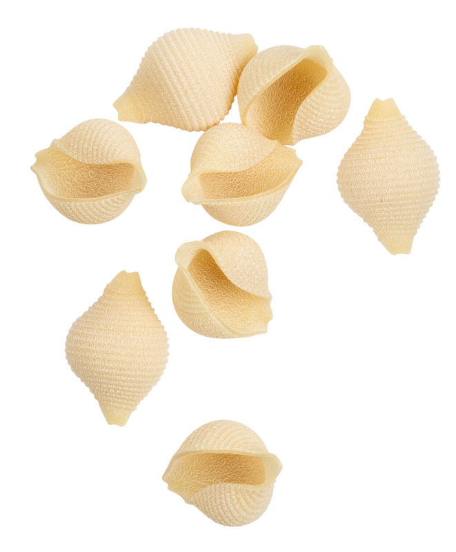 Tofe IGP Muschelnudeln aus Hartweizengrieß – ideal für Käsesaucen oder Minestrone, erhältlich bei Il Gusto di Mario.